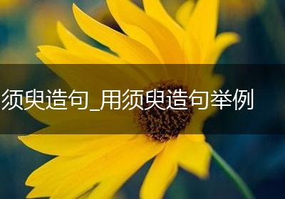 须臾造句_用须臾造句举例