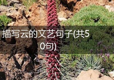 描写云的文艺句子(共50句)