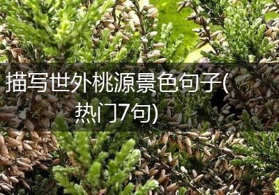 描写世外桃源景色句子(热门7句)