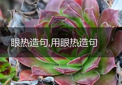 眼热造句,用眼热造句