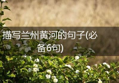 描写兰州黄河的句子(必备6句)