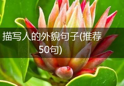 描写人的外貌句子(推荐50句)