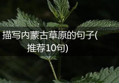 描写内蒙古草原的句子(推荐10句)