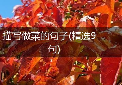 描写做菜的句子(精选9句)