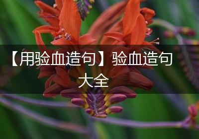 【用验血造句】验血造句大全