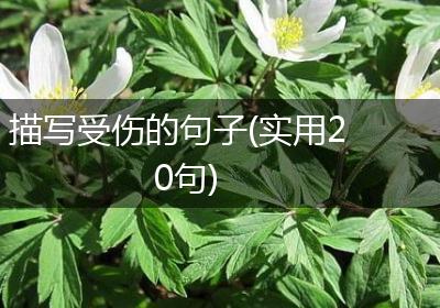 描写受伤的句子(实用20句)