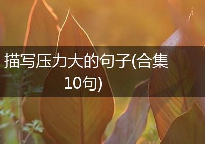 描写压力大的句子(合集10句)