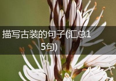 描写古装的句子(汇总15句)