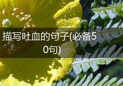 描写吐血的句子(必备50句)