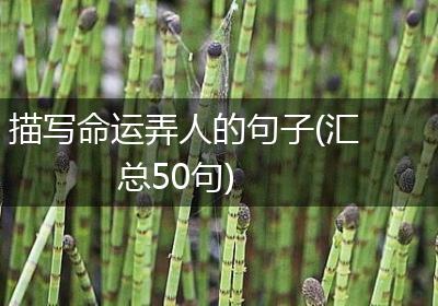 描写命运弄人的句子(汇总50句)
