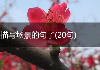 描写场景的句子(20句)