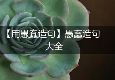 【用愚蠢造句】愚蠢造句大全