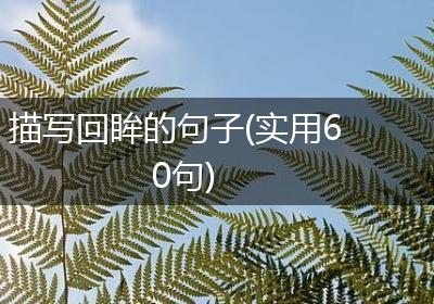 描写回眸的句子(实用60句)