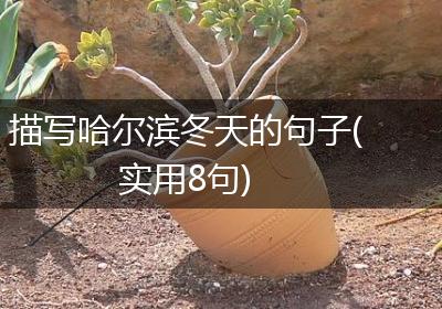 描写哈尔滨冬天的句子(实用8句)