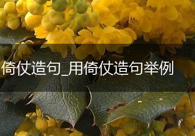 倚仗造句_用倚仗造句举例