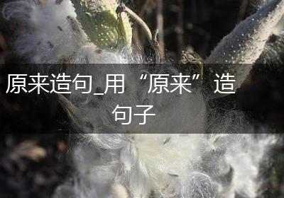 原来造句_用“原来”造句子