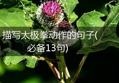 描写太极拳动作的句子(必备13句)