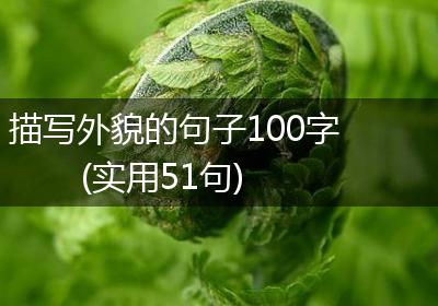描写外貌的句子100字(实用51句)