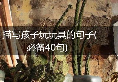 描写孩子玩玩具的句子(必备40句)