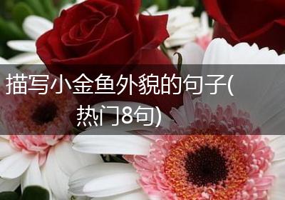 描写小金鱼外貌的句子(热门8句)