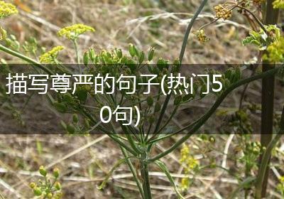 描写尊严的句子(热门50句)