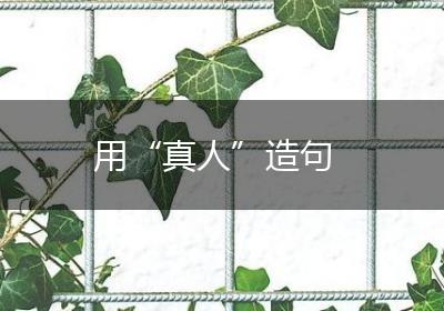 用“真人”造句