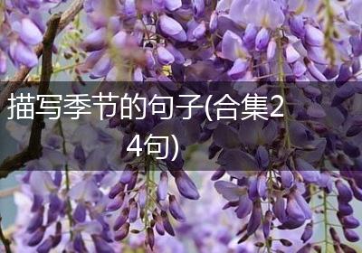 描写季节的句子(合集24句)