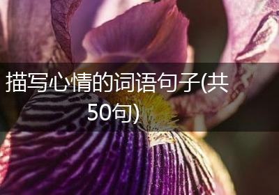 描写心情的词语句子(共50句)