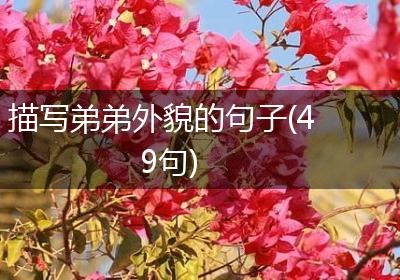 描写弟弟外貌的句子(49句)