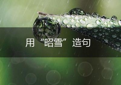 用“昭雪”造句