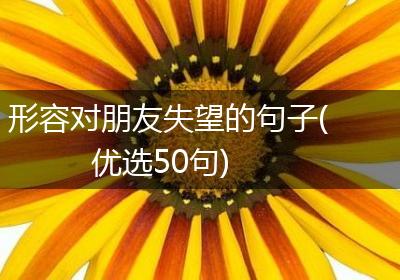 形容对朋友失望的句子(优选50句)