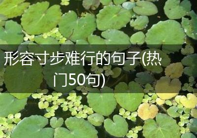 形容寸步难行的句子(热门50句)