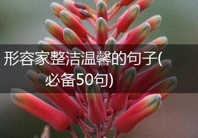 形容家整洁温馨的句子(必备50句)
