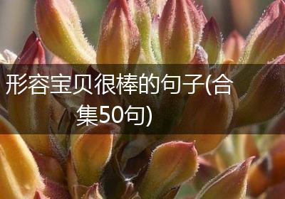 形容宝贝很棒的句子(合集50句)