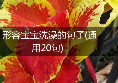 形容宝宝洗澡的句子(通用20句)