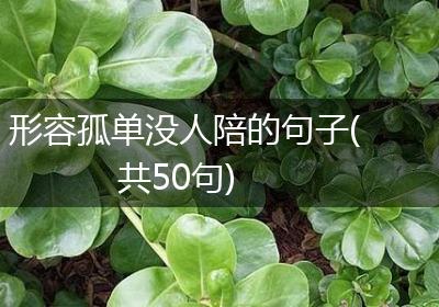 形容孤单没人陪的句子(共50句)