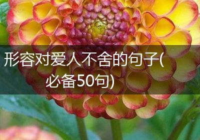 形容对爱人不舍的句子(必备50句)