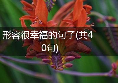 形容很幸福的句子(共40句)