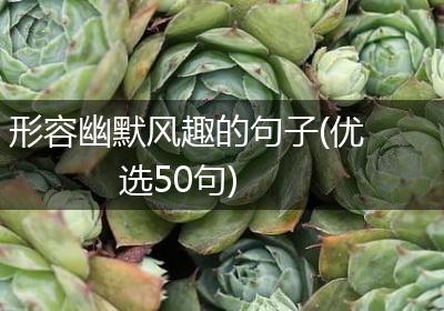 形容幽默风趣的句子(优选50句)