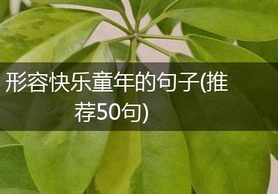 形容快乐童年的句子(推荐50句)