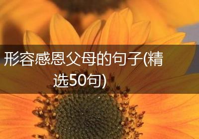 形容感恩父母的句子(精选50句)