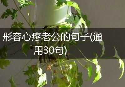 形容心疼老公的句子(通用30句)