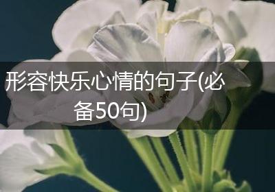 形容快乐心情的句子(必备50句)