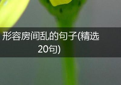 形容房间乱的句子(精选20句)
