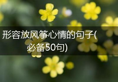 形容放风筝心情的句子(必备50句)