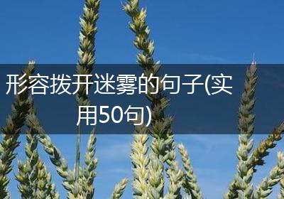 形容拨开迷雾的句子(实用50句)