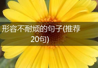 形容不耐烦的句子(推荐20句)