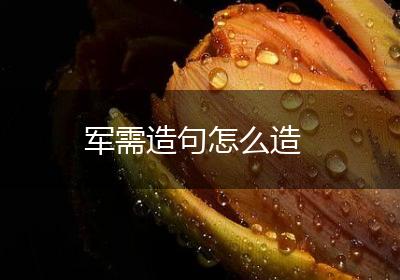 军需造句怎么造