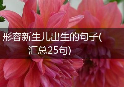 形容新生儿出生的句子(汇总25句)