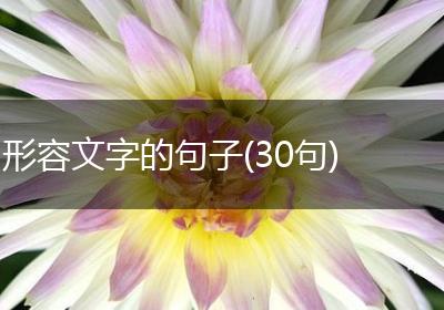 形容文字的句子(30句)